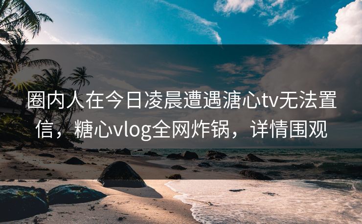 圈内人在今日凌晨遭遇溏心tv无法置信，糖心vlog全网炸锅，详情围观