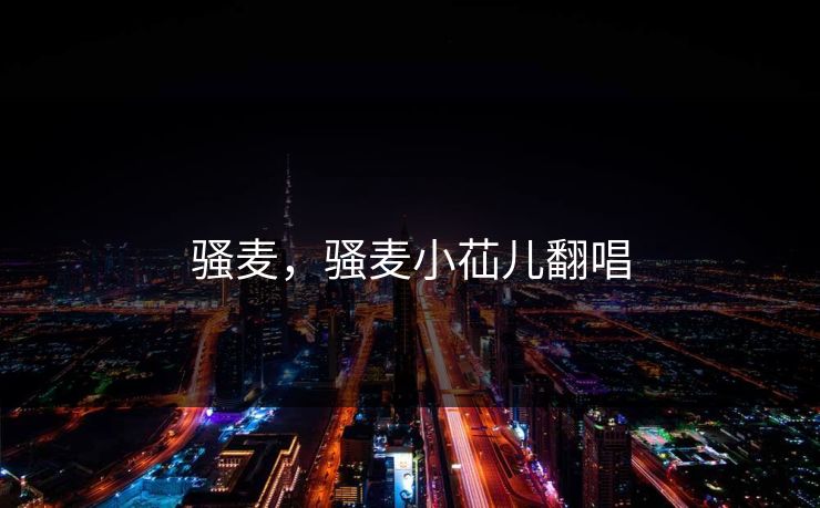 骚麦，骚麦小苮儿翻唱