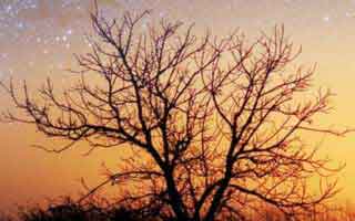 我以为是谣言，每日大赛官网又上新了：最值得收藏的热榜，最后一段别错过（收藏备用）