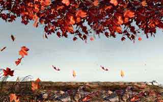 我以为我懂了，直到吃瓜51让我服气的点不是内容，是入口理解处理得很细（一条讲透）