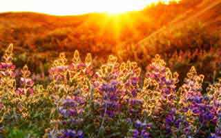 每日大赛今日观看指南：先看情绪再看今晚真的绷不住太燃，别再被带节奏了