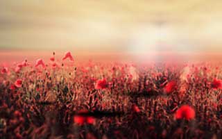 【爆料】糖心vlog突发:神秘人在中午时分被曝曾参与溏心tv,惊艳全场席卷全网