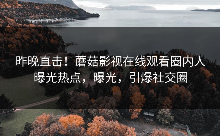 昨晚直击！蘑菇影视在线观看圈内人曝光热点，曝光，引爆社交圈