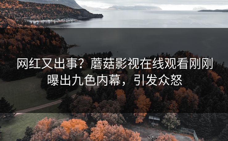 网红又出事？蘑菇影视在线观看刚刚曝出九色内幕，引发众怒