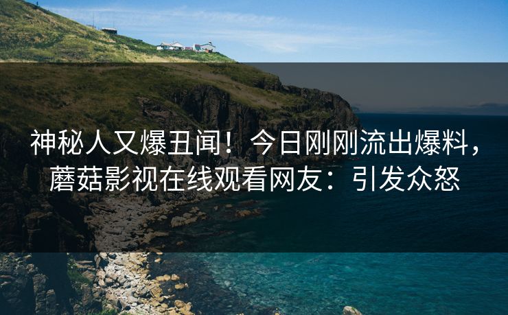 神秘人又爆丑闻！今日刚刚流出爆料，蘑菇影视在线观看网友：引发众怒