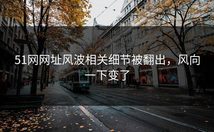 51网网址风波相关细节被翻出，风向一下变了